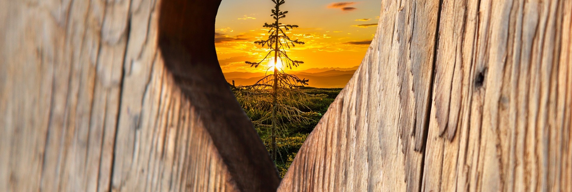 Alles, was ihr tut, geschehe in Liebe.